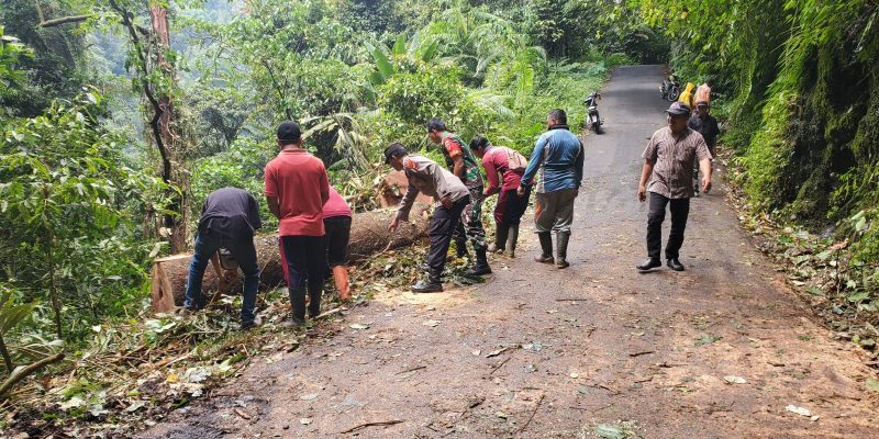 Fast Respon TNI-Polri Bersama Warga Evakuasi Pohon Tumbang