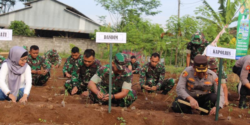 Dukung Program Ketahanan Pangan, Forkopimda Tanam Cabai Merah Di Demplot Kodim 0736/Batang
