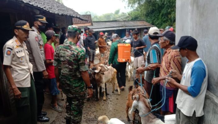 Cegah PMK Polri Amankan Penyemprotan Disinfektan Di Hewan