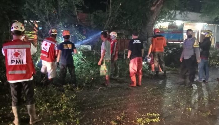 Bersama Warga dan PMI, Personil Polsek Kesesi Evakuasi Pohon Tumbang