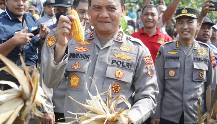 Gandeng Perhutani, Satgas Pangan Polda Jateng Gelar Program Tanam Jagung Dukung Ketahanan Pangan