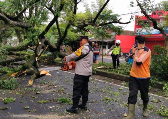 Respon Cepat Aduan Masyarakat, Personil Polsek Kedungkandang Evakuasi Pohon Tumbang