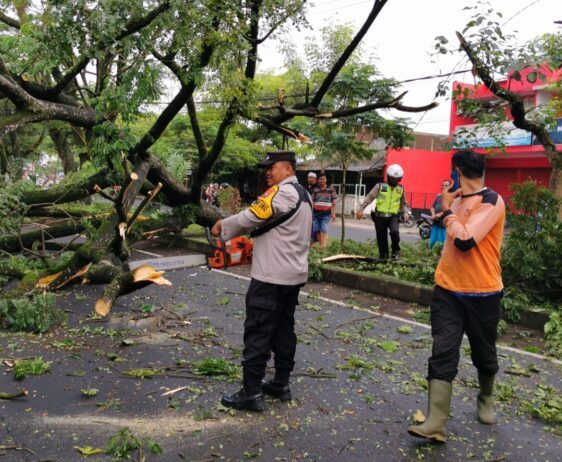 Respon Cepat Aduan Masyarakat, Personil Polsek Kedungkandang Evakuasi Pohon Tumbang