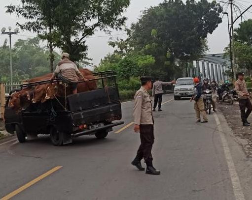 Cegah Penyebaran PMK, Polsek Padangan Polres Bojonegoro Polda Jatim Lakukan Penyekatan Kendaraan Bermuatan Hewan