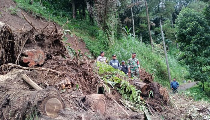 Dua Desa di Kecamatan Lebakbarang Alami Bencana Alam Tanah Longsor