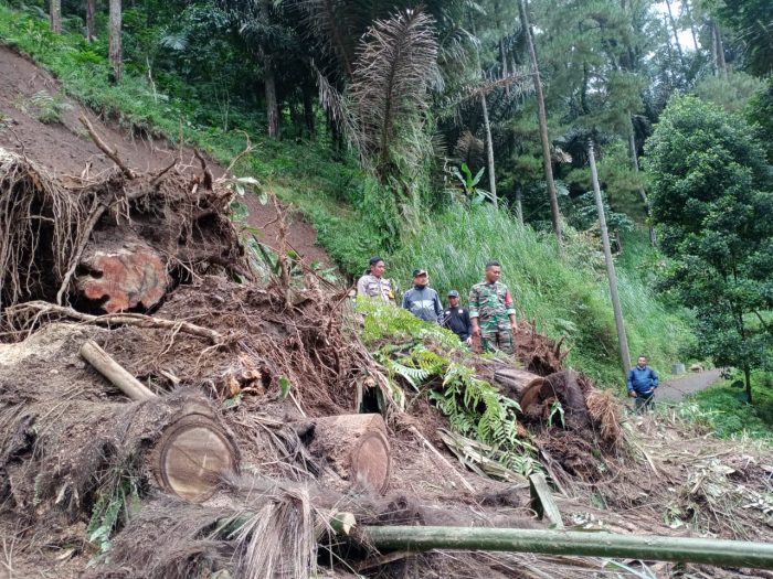 Dua Desa di Kecamatan Lebakbarang Alami Bencana Alam Tanah Longsor