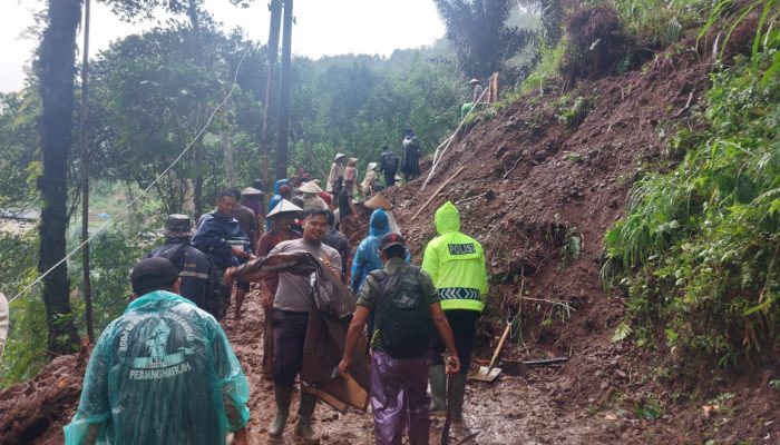 Tingginya Intensitas Hujan di Wilayah Lebakbarang Akibatkan Longsor dan Pohon Tumbang