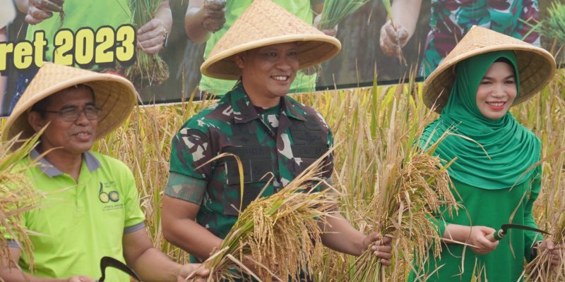 Sinergi Pentahelix Korem Wijayakusuma dan Faperta Unsoed Panen Perdana Padi Protani dan Protangguh Dukung Hanpangan Nasional