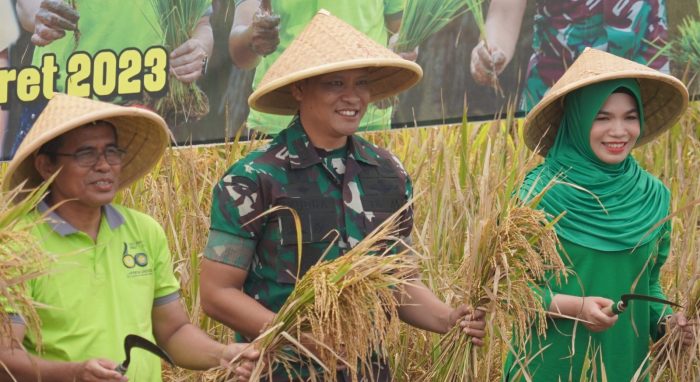 Sinergi Pentahelix Korem Wijayakusuma dan Faperta Unsoed Panen Perdana Padi Protani dan Protangguh Dukung Hanpangan Nasional