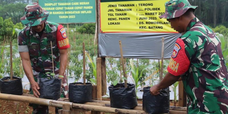 Kodim 0736/Batang, Tanam Sayuran Holtikultural Dan Budidaya Ikan Air Tawar