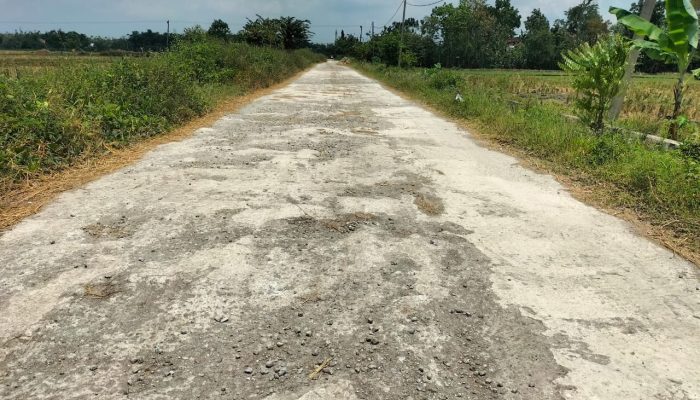 Diduga Asal Jadi, Bantuan Hibah Provinsi Untuk Pengecoran Jalan di Desa Sidomulyo