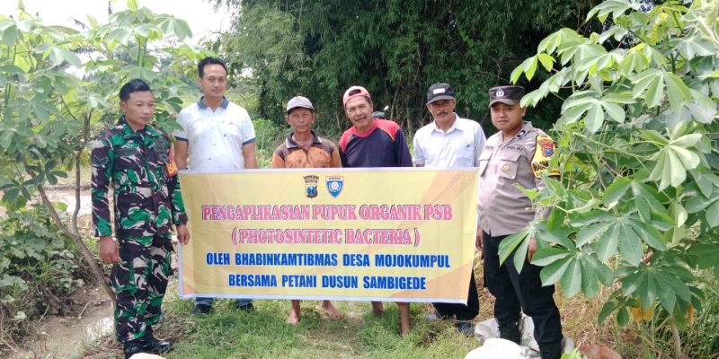Polisi Sahabat Petani, Panen Raya Berkat Inovasi Pak Bhabin di Kota Mojokerto