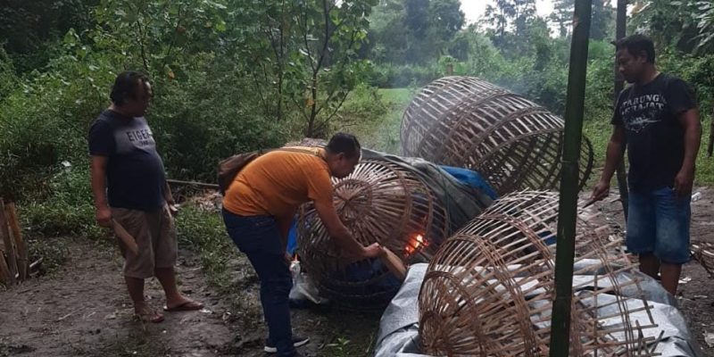 Polres Jombang Bongkar Perjudian Sabung Ayam, Dua Pelaku Ditangkap