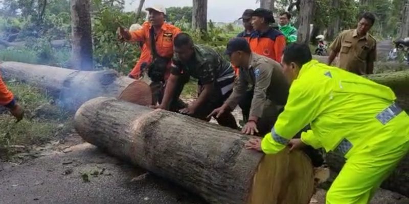 Gercep, Polisi Bersama TNI dan BPBD Evakuasi Pohon Tumbang, Akses Jalan Kembali Lancar