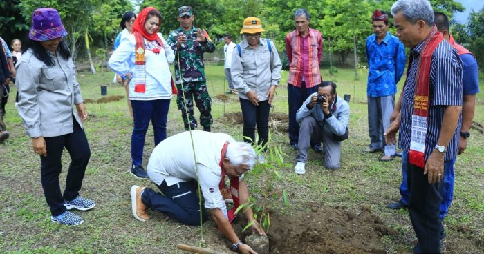 Tim Pra Revalidasi Toba Caldera UGG ke Samosir, Tinjau Kawasan Geosite Kaldera Toba