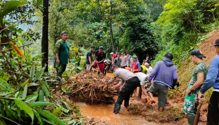 Bersihkan Material Longsoran, TNI-Polri Bersinergi dengan Pemdes, Perhutani dan Warga