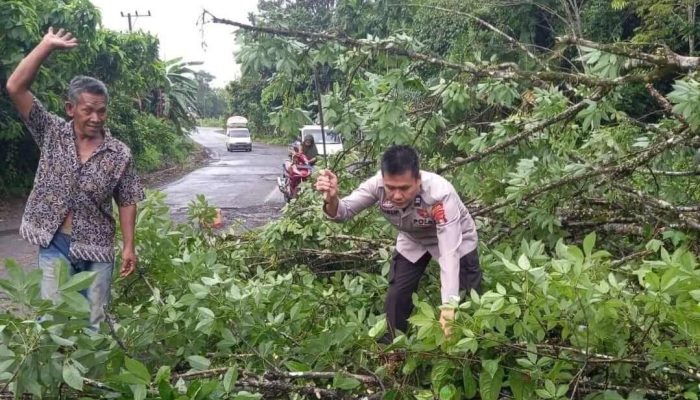Polisi Penolong Presisi Polsek Muara Kelingi Memindahkan Pohon Yang Tumbang Di Jalan