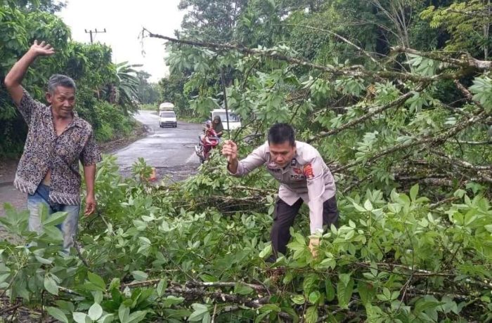 Polisi Penolong Presisi Polsek Muara Kelingi Memindahkan Pohon Yang Tumbang Di Jalan