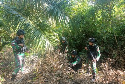 Satgas Yonarmed 19/105 Trk Bogani Gagalkan Penyelundupan Satwa Dilindungi Di Jalan Tikus Perbatasan RI-Malaysia