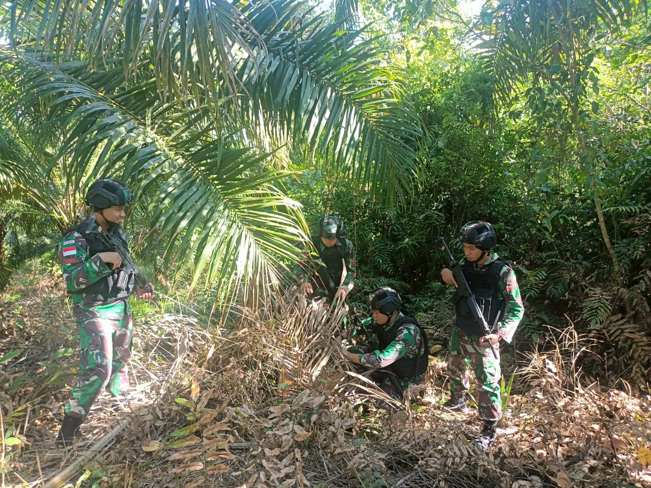 Satgas Yonarmed 19/105 Trk Bogani Gagalkan Penyelundupan Satwa Dilindungi Di Jalan Tikus Perbatasan RI-Malaysia