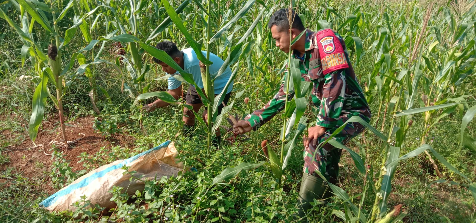 Program Unggulan Ketahanan Pangan Kodim 0736/Batang