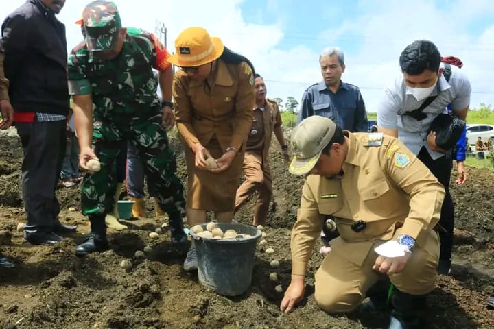 Bunga Desa Partungko Naginjang, Bupati Samosir Ajak Petani Beralih Menggunakan Pupuk Organik