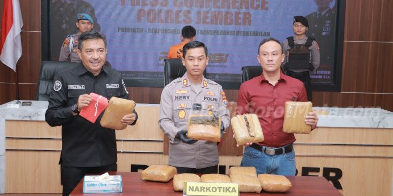 Polres Jember Ungkap Narkoba Jaringan Medan-Bali, 10 Kg Ganja Berhasil Disita