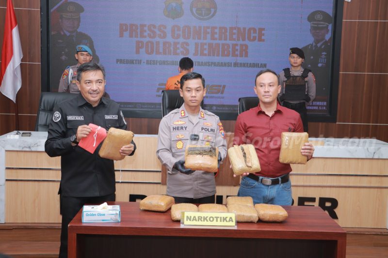 Polres Jember Ungkap Narkoba Jaringan Medan-Bali, 10 Kg Ganja Berhasil Disita