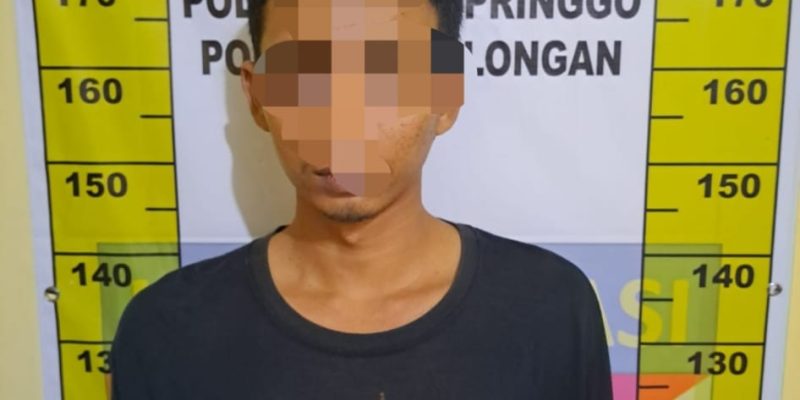 Curi Handphone Tetangga, Jarot Ditangkap Polisi