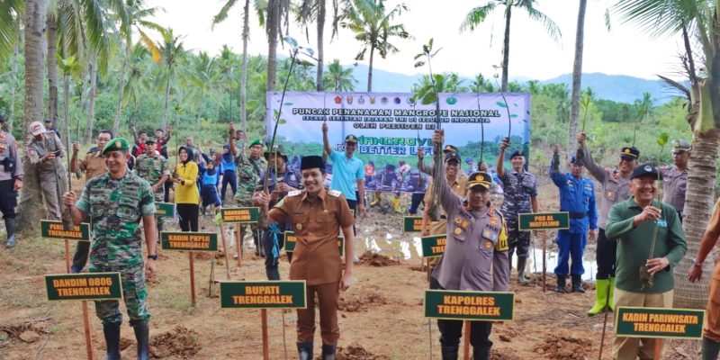 Sinergitas TNI – Polri di Trenggalek Tanam Mangrove Cegah Abrasi Wujudkan Habitat Laut Yang Asri