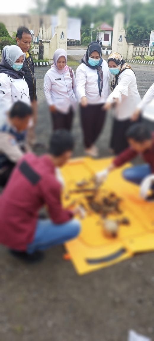 Kerangka Manusia Ditemukan Pinggir Jalan Lintas Sumatera 