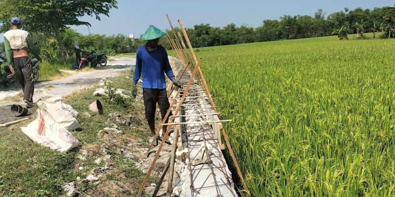 Upah Pekerja Pembangunan TPT Bersumber Anggaran Dana Desa, Diduga Diborongkan Rp 80 Ribu Per Meter