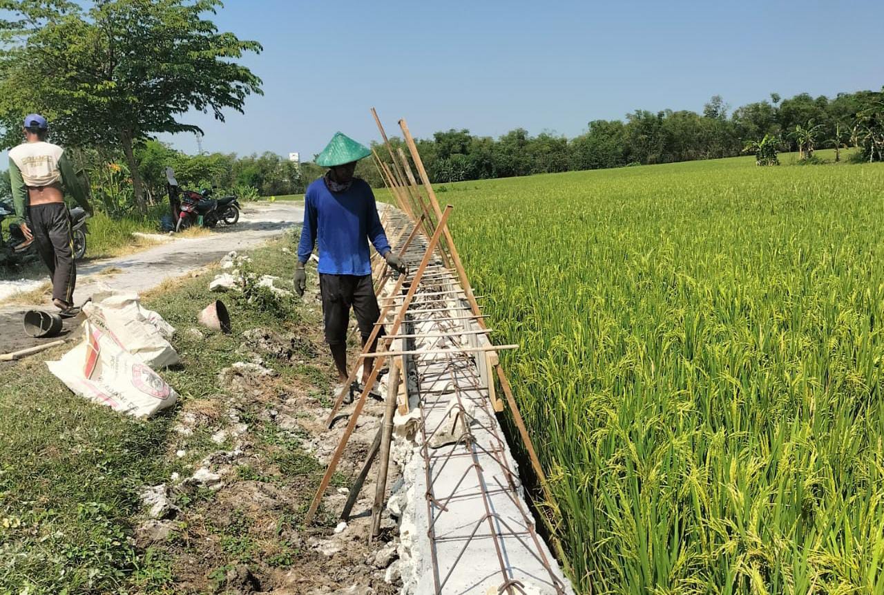 Upah Pekerja Pembangunan TPT Bersumber Anggaran Dana Desa, Diduga Diborongkan Rp 80 Ribu Per Meter