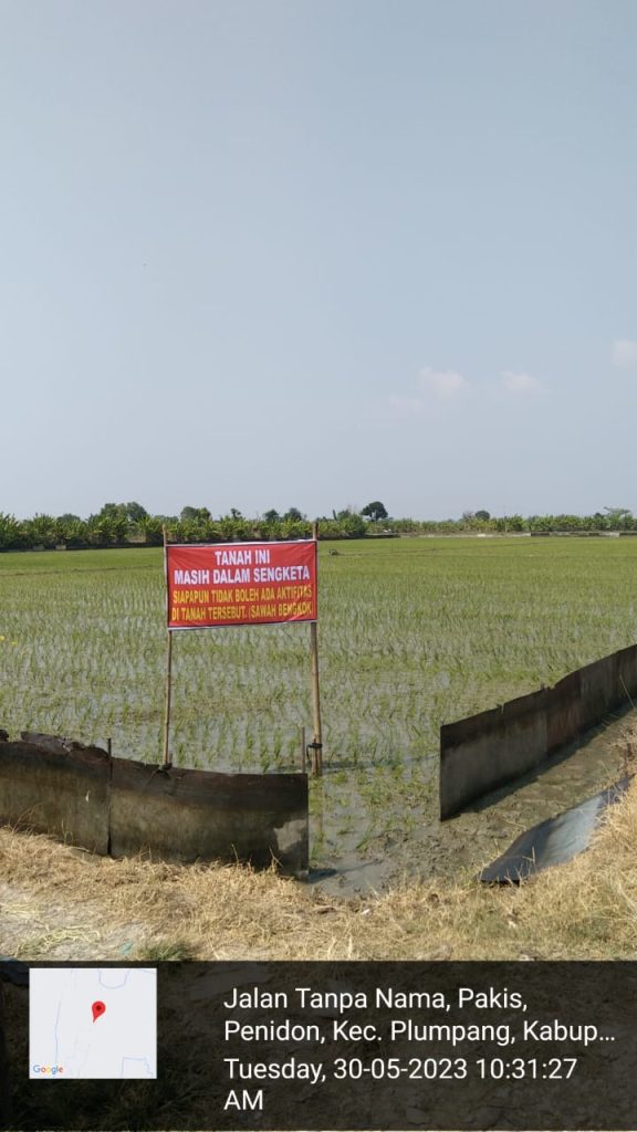 PLT Kades Penindon Belum Mampu Menyelesaikan Atas Dugaan Munculnya Dua Penyewa Dalam Sengketa Sewa Sawah Bengkok