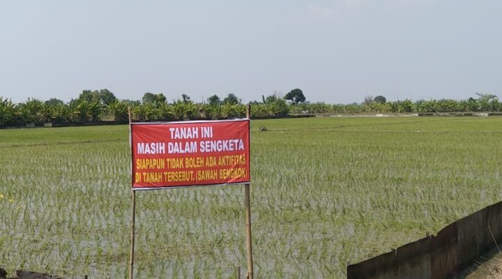 PLT Kades Penindon Belum Mampu Menyelesaikan Atas Dugaan Munculnya Dua Penyewa Dalam Sengketa Sewa Sawah Bengkok