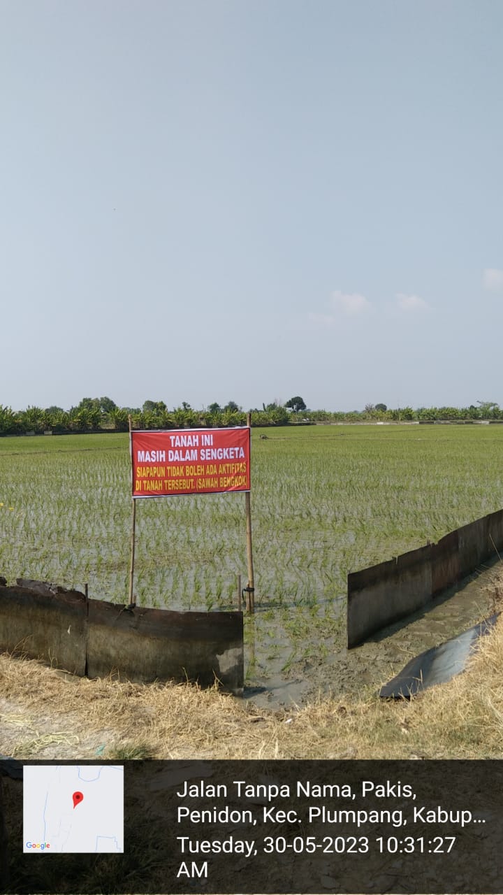 PLT Kades Penindon Belum Mampu Menyelesaikan Atas Dugaan Munculnya Dua Penyewa Dalam Sengketa Sewa Sawah Bengkok