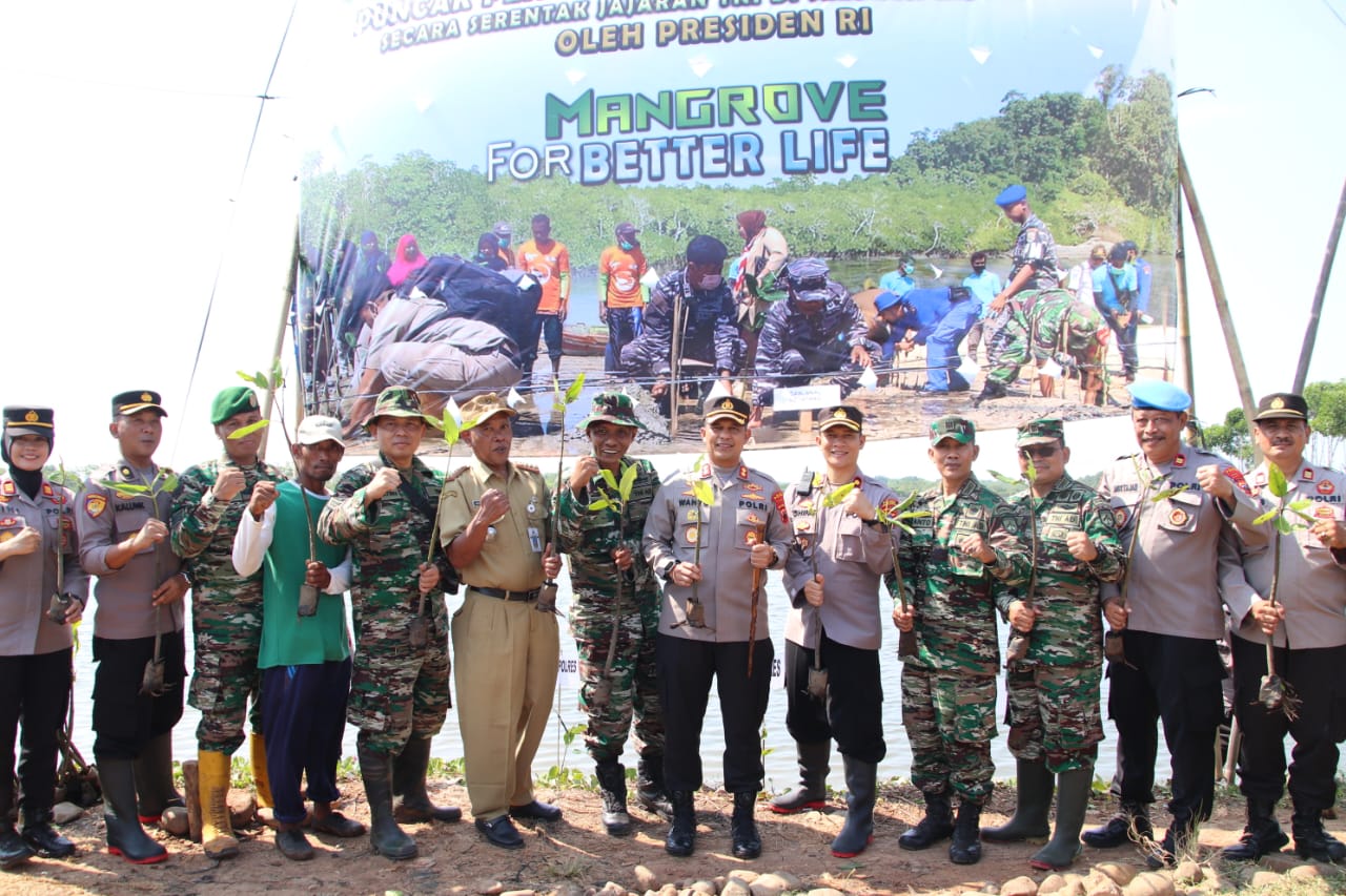 Sinergitas TNI-Polri dan Masyarakat Tanam Mangrove di Wilayah Wonokerto Pekalongan