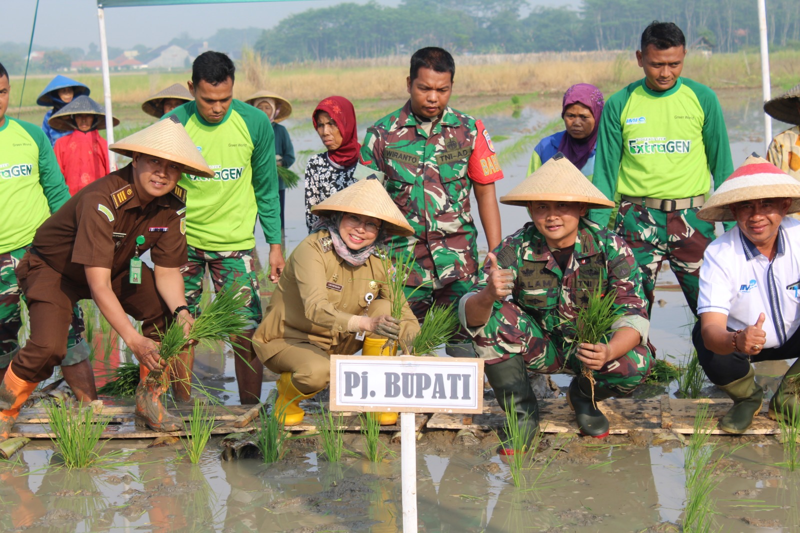 Guna Atasi Stunting, Dandim dan PJ. Bupati Batang Tanam Padi Varietas Protani