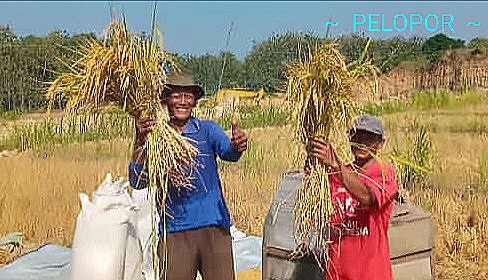 Fokus Merubah Area Tandus Menjadi Lahan Persawahan Aktif