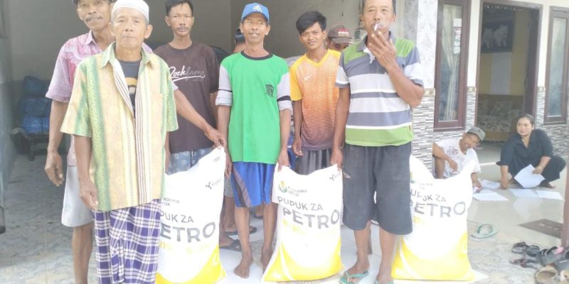 Kelompok Lancar Tani Pulorejo Desa Sumberagung Lakukan Pembagian Pupuk Za Gratis