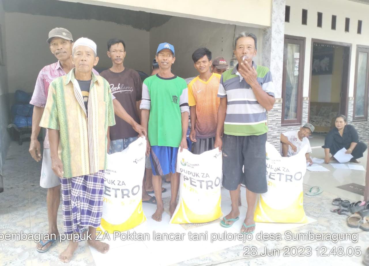 Kelompok Lancar Tani Pulorejo Desa Sumberagung Lakukan Pembagian Pupuk Za Gratis
