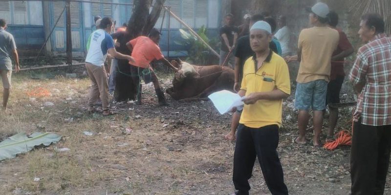 Hewan Kurban Empat Ekor Sapi dan Tiga Ekor Kambing Di Potong Di Area Masjid Al – Ikhsan