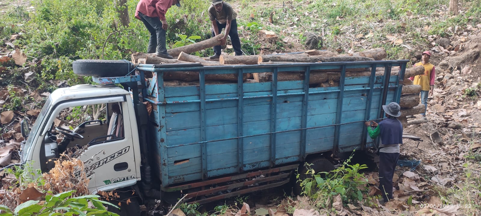 Perusahan Umum Kehutanan Negara KRPH Bondowoso Jawa Timur Masih Memprioritaskan Kayu Jati
