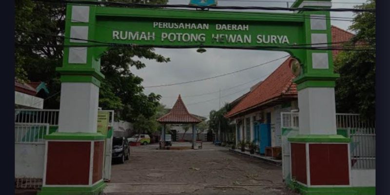 Diduga Ada Pembiaran “Aroma Tak Sedap” RPH Pegirian Surabaya