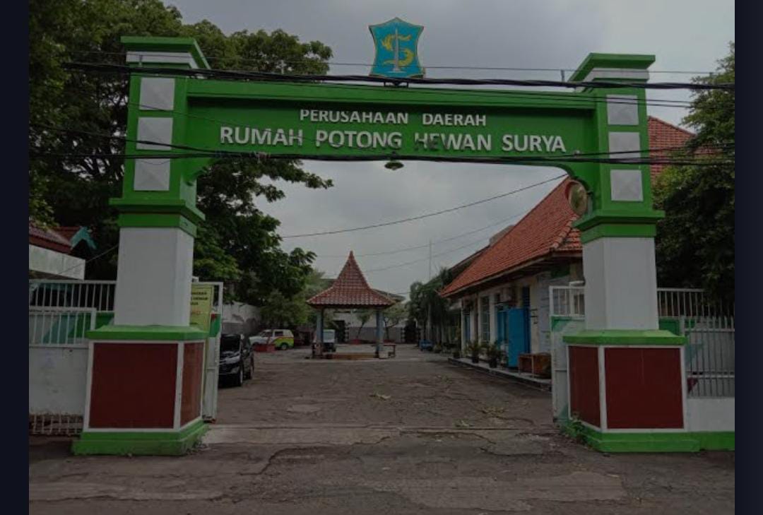 Diduga Ada Pembiaran “Aroma Tak Sedap” RPH Pegirian Surabaya