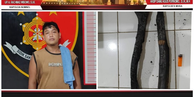 Diduga Membakar Lahan Yosi Diringkus Polsek Muara Lakitan