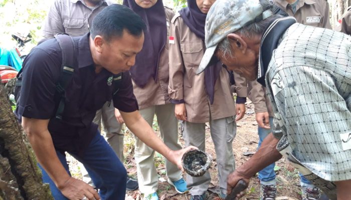Praktek Kerja Lapangan Mahasiswa Dan Mahasiswi Universitas Mataram di Perhutani Bondowoso