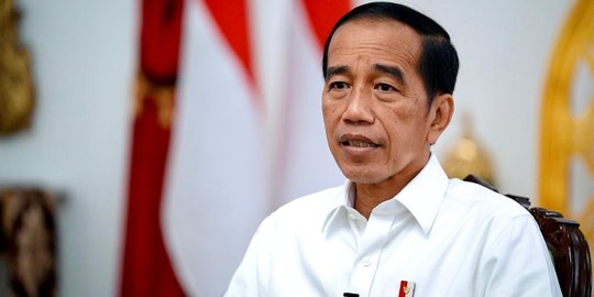 Presiden Jokowi, Diakui Ada 12 Pelanggaran HAM Berat, Ada Nomor 2 & 3 Cukup Mengerikan