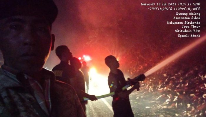 Si Jago Merah Kembali Melahap Wilayah Hutan BKPH Panarukan KPH Bondowoso