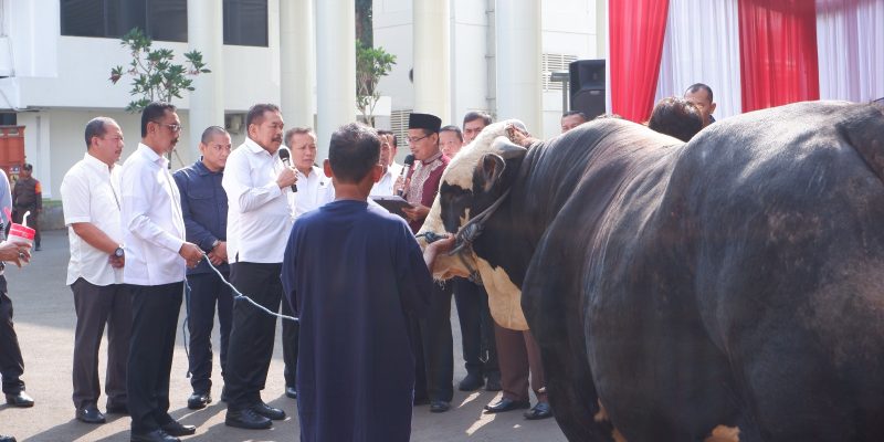 Jaksa Agung: Penyembelihan Hewan Kurban Harus Dimaknai Untuk Meningkatkan Soliditas dan Solidaritas, Dalam Kehidupan Bermasyarakat, Berbangsa, dan Bernegara